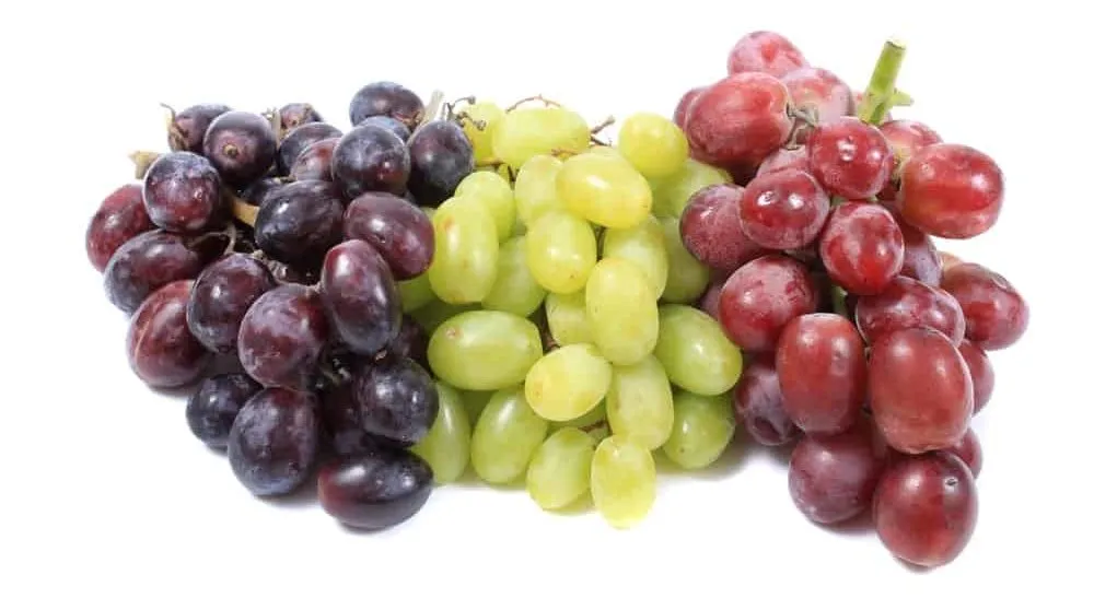 Grapes (8kg)
